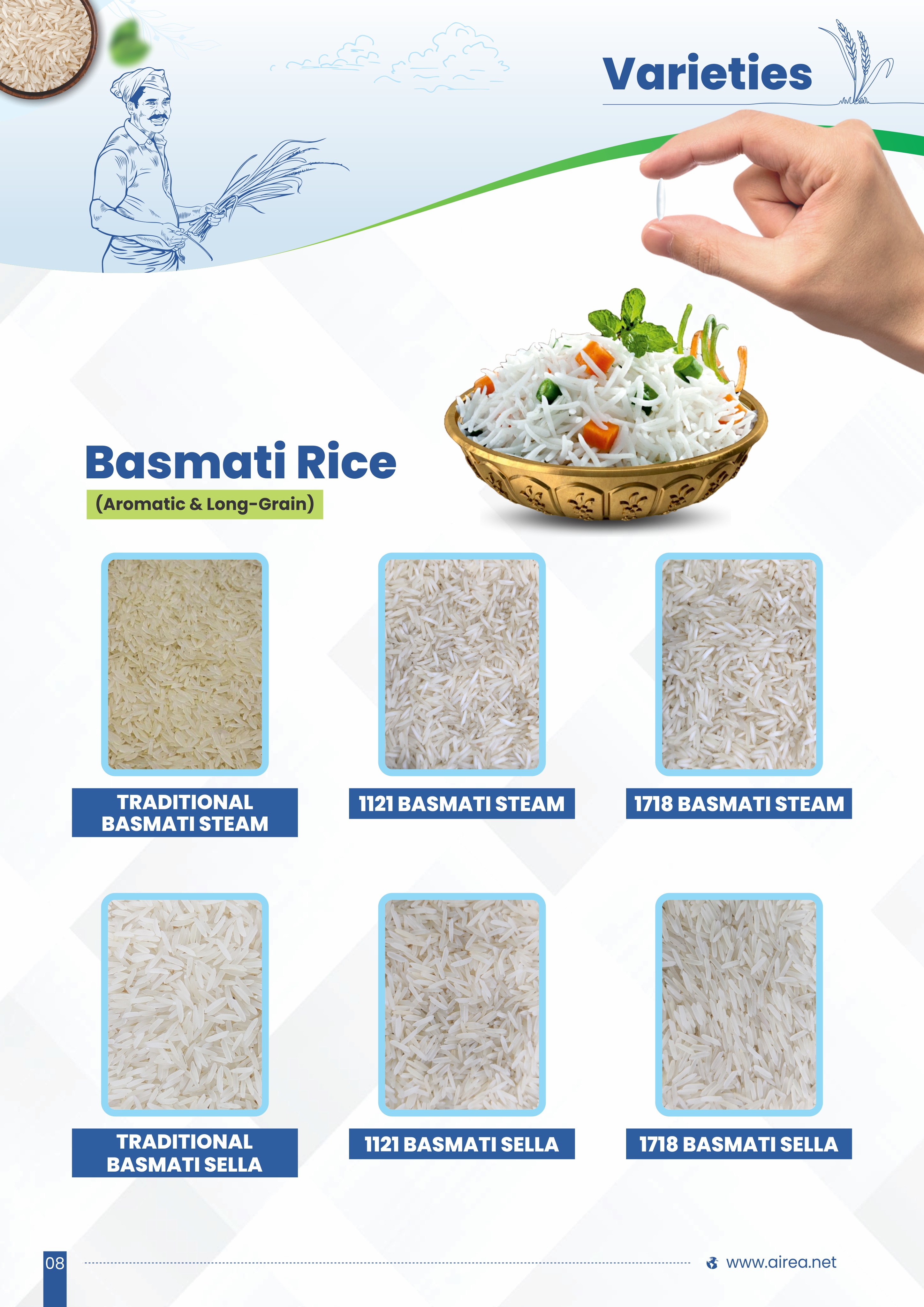 Rice Production Image